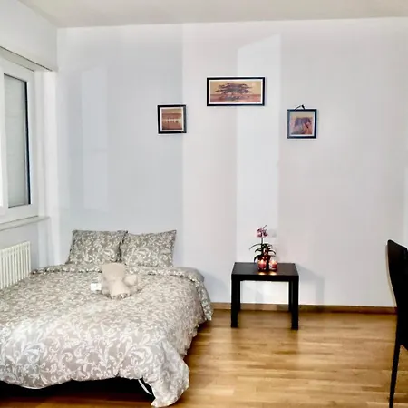 Apartment En Lausanna Lausanne